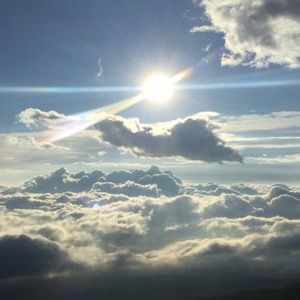 Meet your Posher, Allona